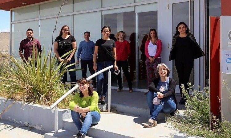 Investigan una bacteria que convierte los residuos industriales en aceite