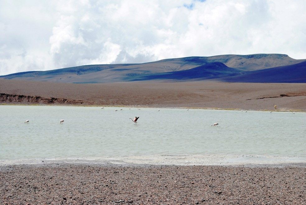 Laguna Brava, belleza, paz y leyendas
