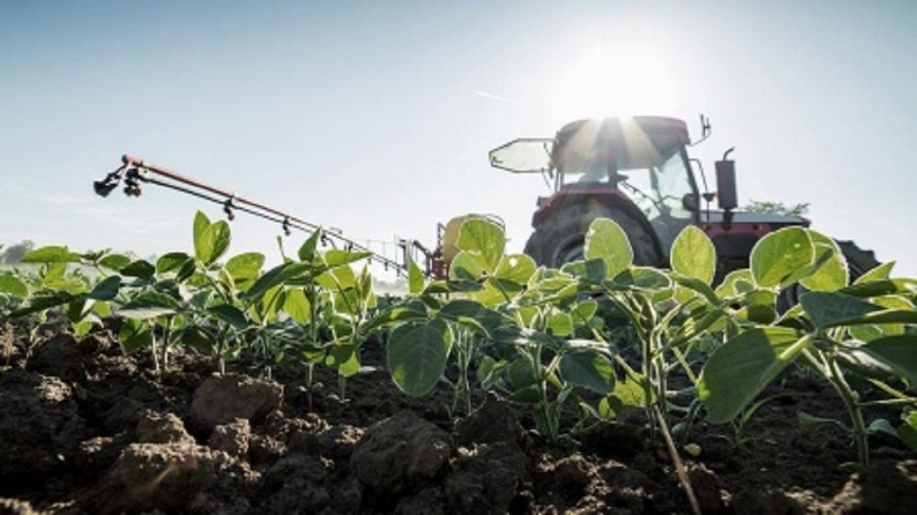 Exportación agro: “La caída de los precios internacionales está introduciendo una sequía estructural”