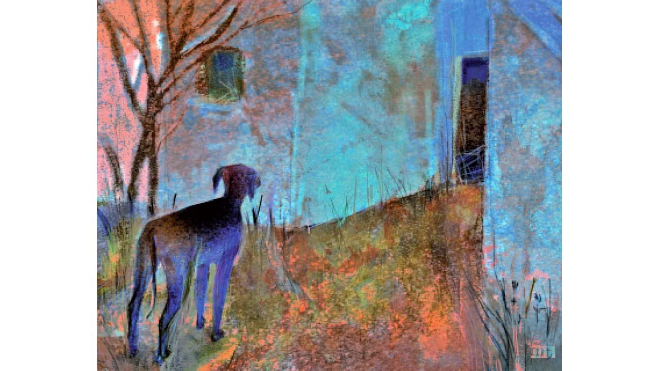 Gatos y perros y la muerte