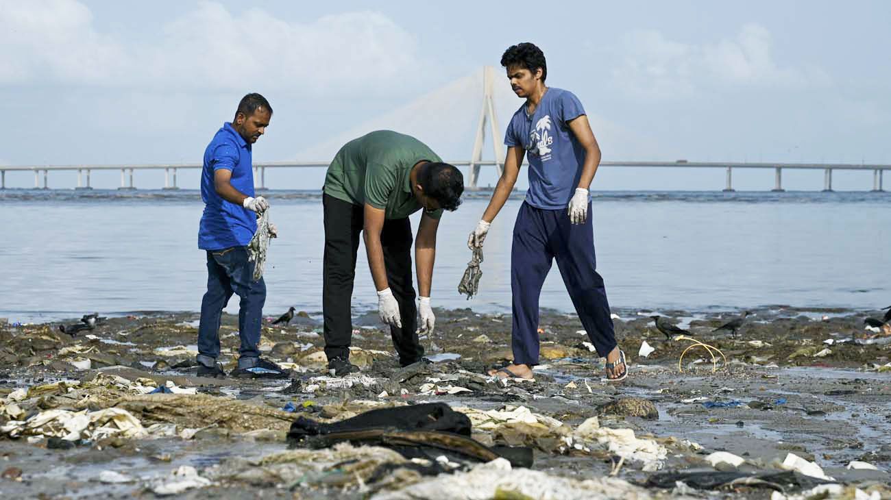 Científicos piden ‘pasar a la acción’ en materia de desarrollo ecológico