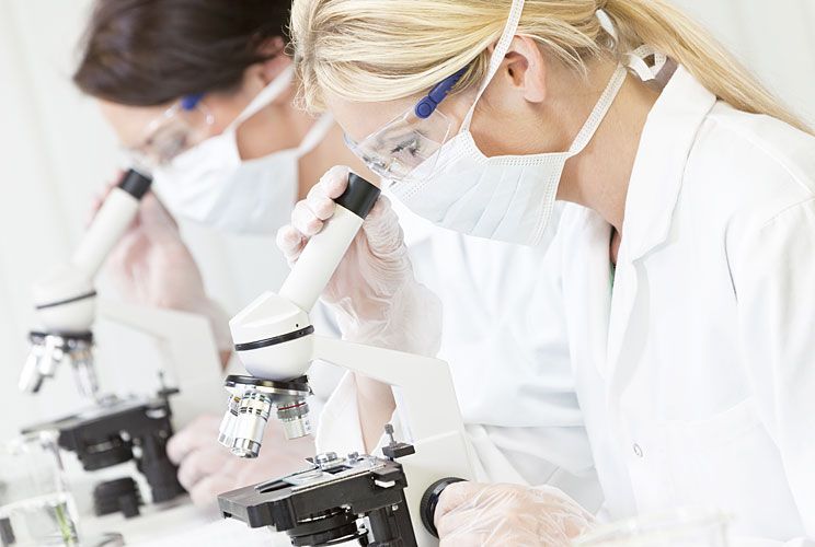 Importancia de la articulación espacios educativos-sociedad