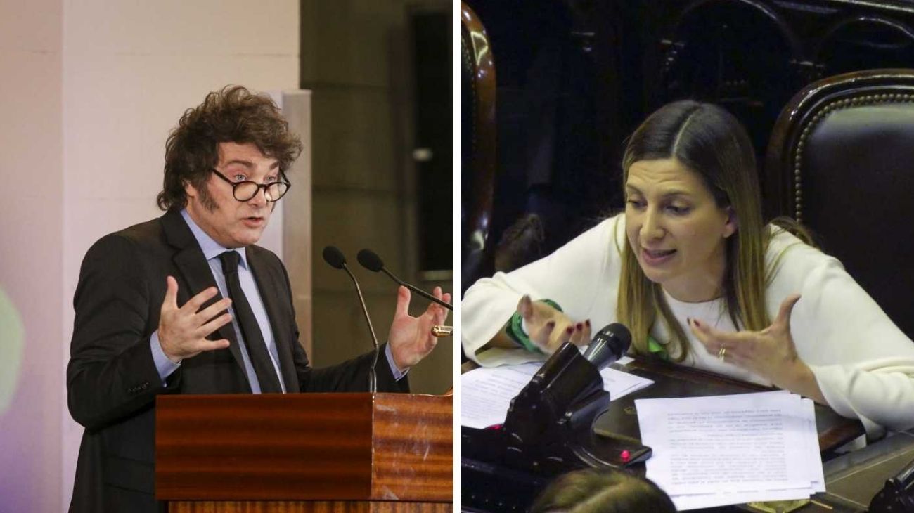 Javier Milei chateó con Silvia Lospennato y se comprometió a impulsar un proyecto de ficha "más limpia"