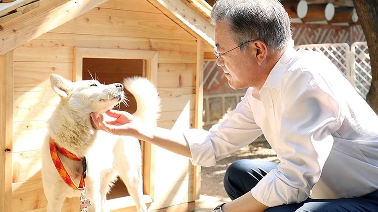 El presidente de Corea del Sur busca poner fin al consumo de carne de perro