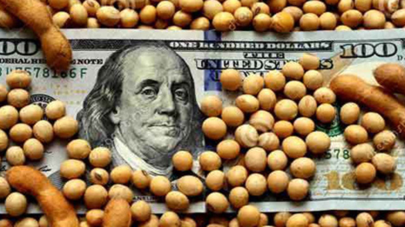 Nueva cosecha, nuevas incógnitas, ¿qué sucederá con el dólar soja?