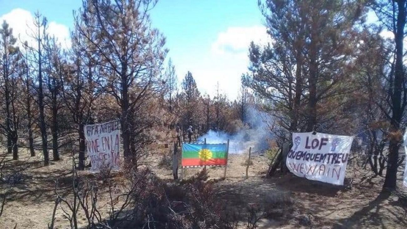Fuerte reclamo del campo al Gobierno por usurpaciones mapuches en la Patagonia