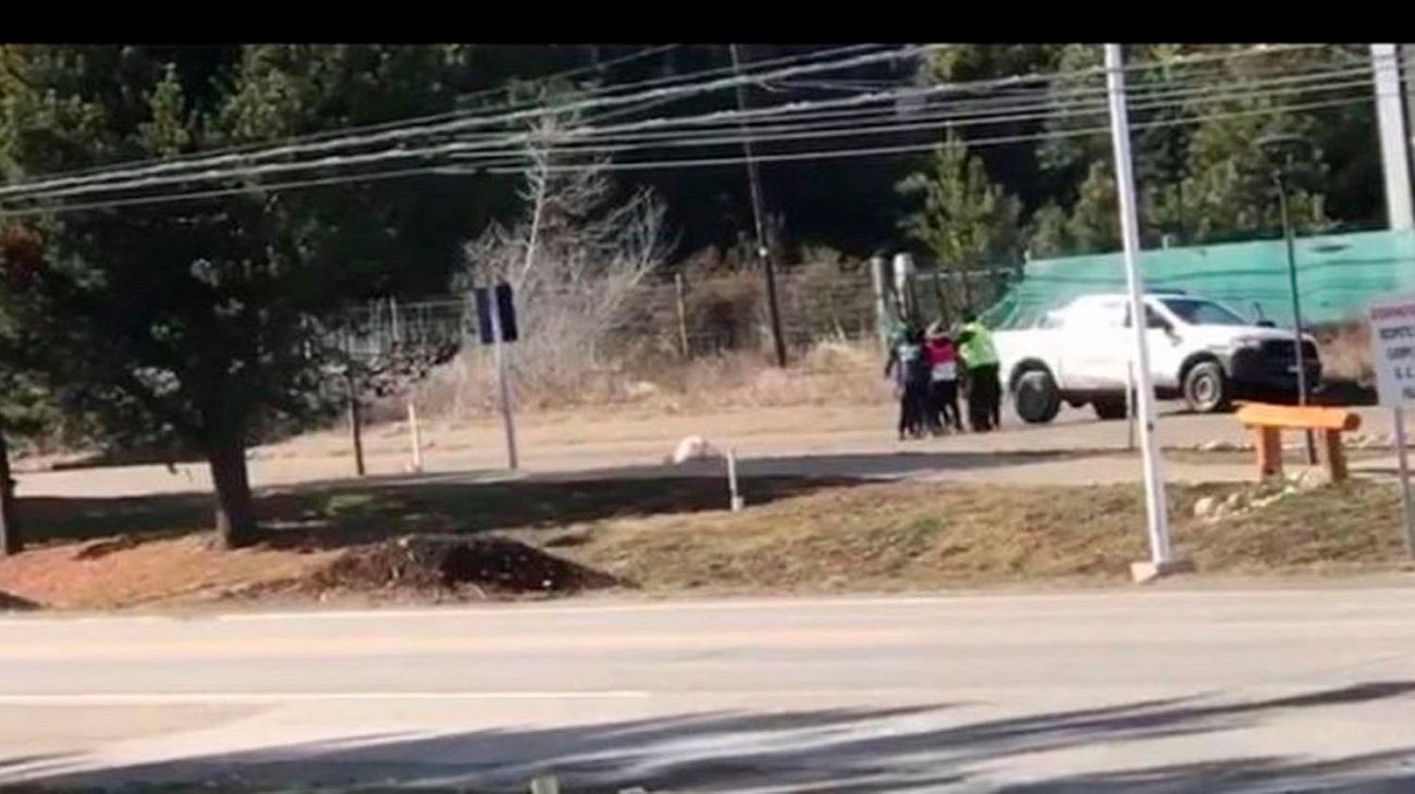 Cuarentena: violenta detención de una mujer en Bariloche por pasear a su perro