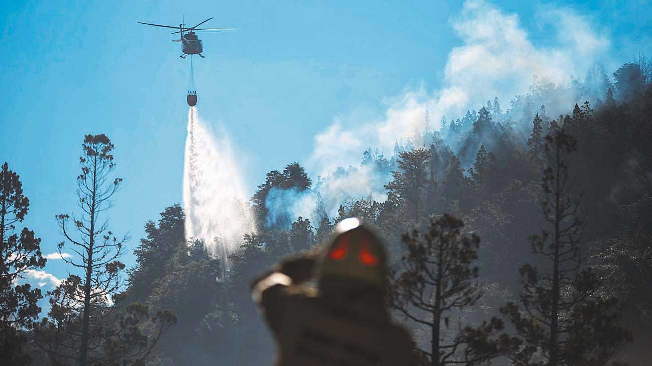 La temporada patagónica terminó con 32 mil hectáreas quemadas