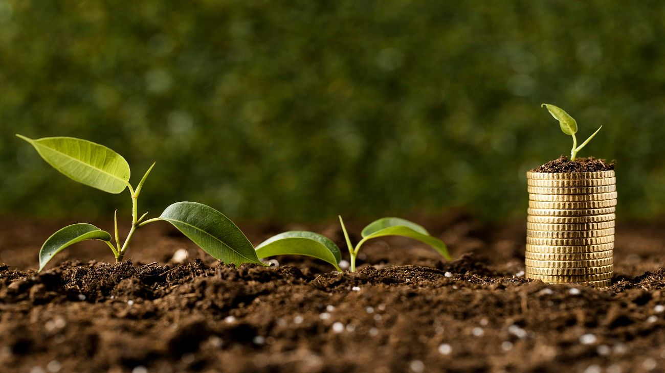Crean una alternativa para invertir en la agroindustria al tipo de cambio oficial