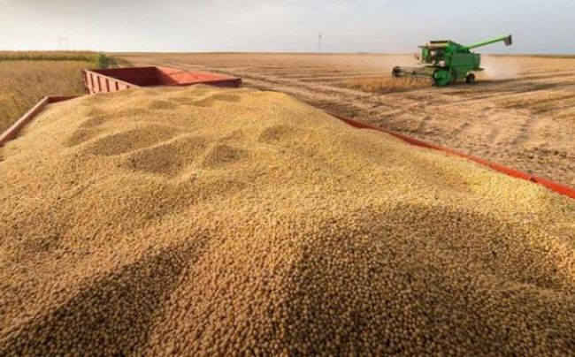 Soja a menos de 500 dólares: ¿Se terminó el "viento de cola"?