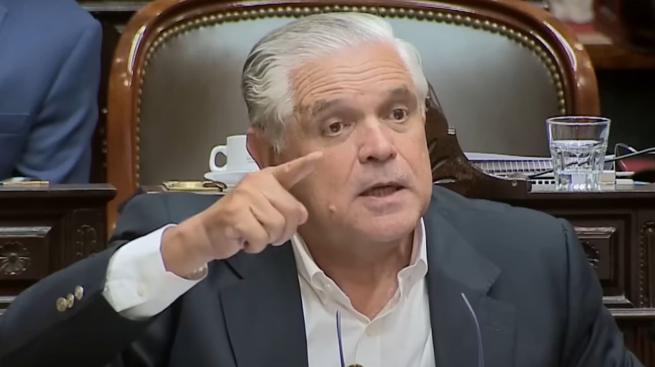 Ricardo López Murphy: "Patricia Bullrich quiere pasar al bronce"