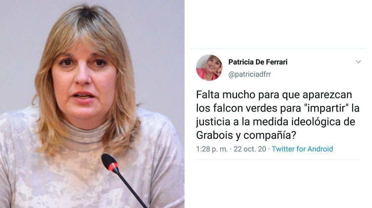 La UCR defendió a la diputada suspendida que habló de los "Falcon verde"